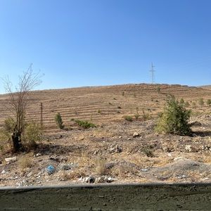 Meet your Posher, Hammoud